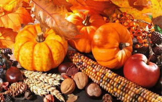 豐收節(jié)里尋“金”記 初級(jí)農(nóng)產(chǎn)品的產(chǎn)業(yè)化新機(jī)遇